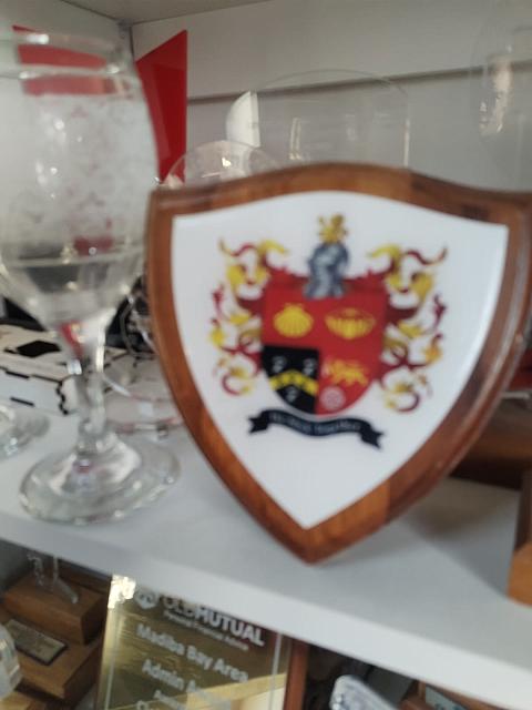 IMG-20250721-WA0004