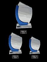 Glass Trophies