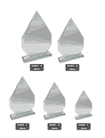 DG-2-594x776